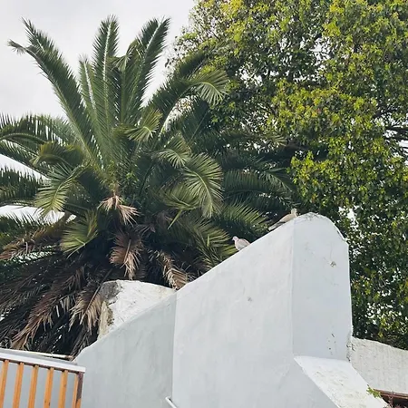 Casa Jose Do Canto Tatil Evi Ponta Delgada